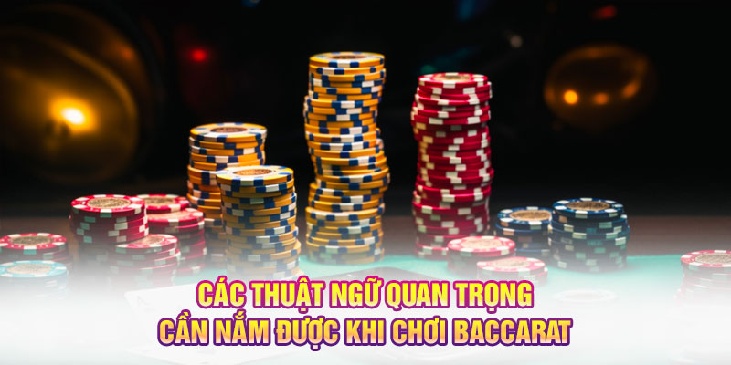 Các thuật ngữ quan trọng cần nắm được khi chơi Baccarat