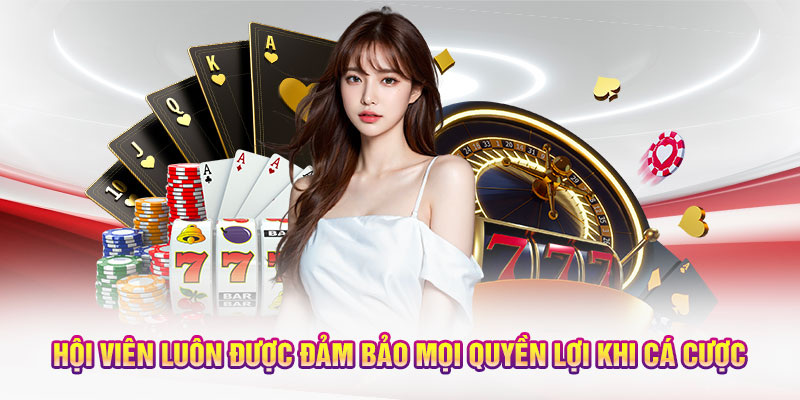 Hội viên luôn được đảm bảo mọi quyền lợi khi cá cược