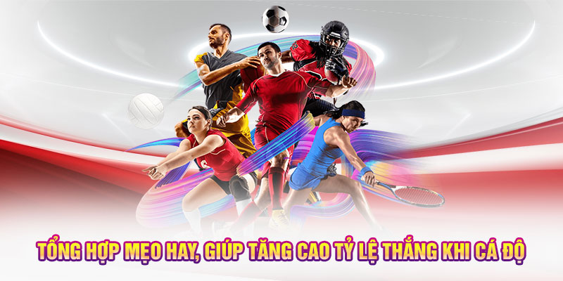 Tổng hợp mẹo hay, giúp tăng cao tỷ lệ thắng khi cá độ