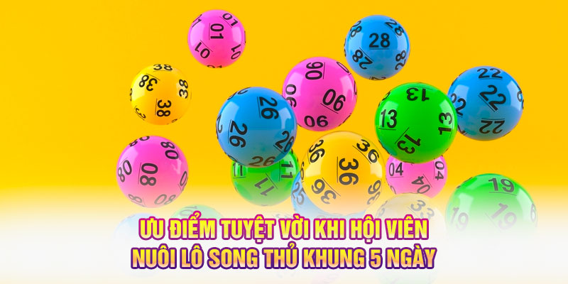 Ưu điểm tuyệt vời khi hội viên nuôi lô song thủ khung 5 ngày