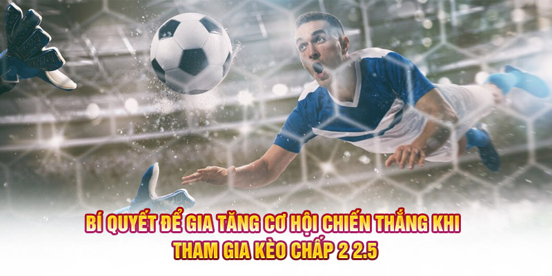 Bí quyết để gia tăng cơ hội chiến thắng khi tham gia kèo chấp 2 2.5