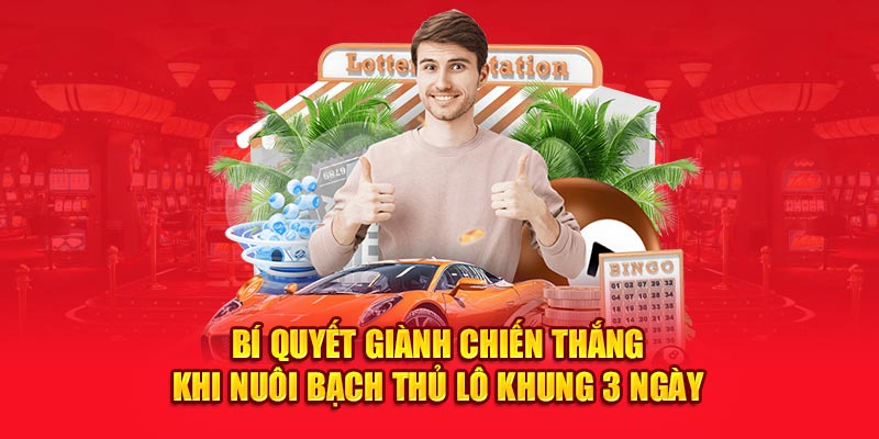 Bí quyết giành chiến thắng khi nuôi bạch thủ lô khung 3 ngày