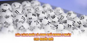 nuôi lô song thủ khung 3 ngày