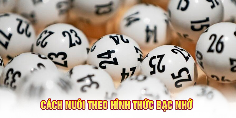 Cách nuôi theo hình thức bạc nhớ