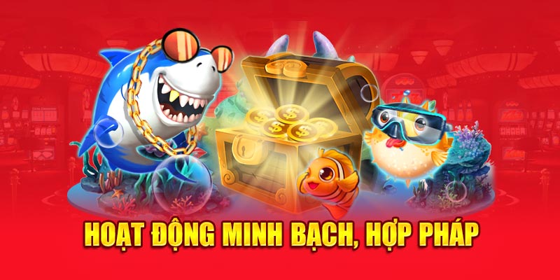 Hoạt động minh bạch, hợp pháp