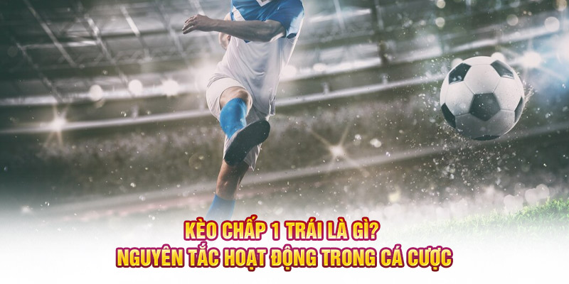 Kèo Chấp 1 Trái Là Gì? Nguyên Tắc Hoạt Động Trong Cá Cược