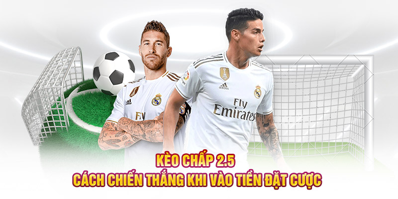 Kèo Chấp 2.5 - Cách Chiến Thắng Khi Vào Tiền Đặt Cược