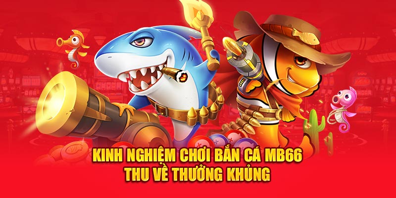 Kinh nghiệm chơi bắn cá MB66 thu về thưởng khủng 