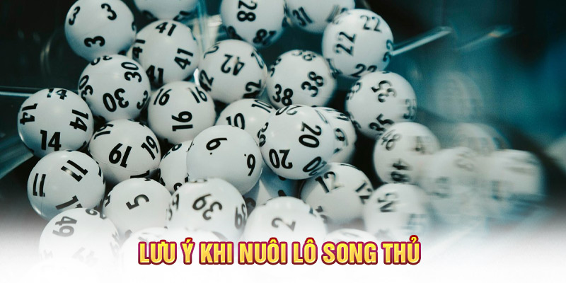 Lưu ý khi nuôi lô song thủ