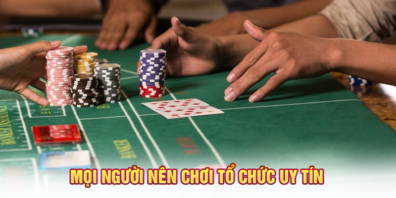Mọi người nên chơi tổ chức uy tín
