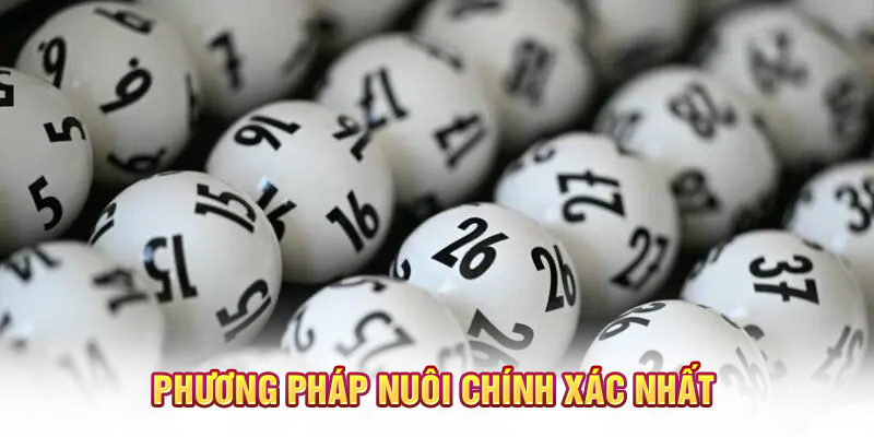 Phương pháp nuôi chính xác nhất