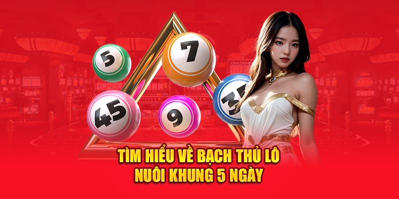 Khám phá bạch thủ lô nuôi khung 5 ngày