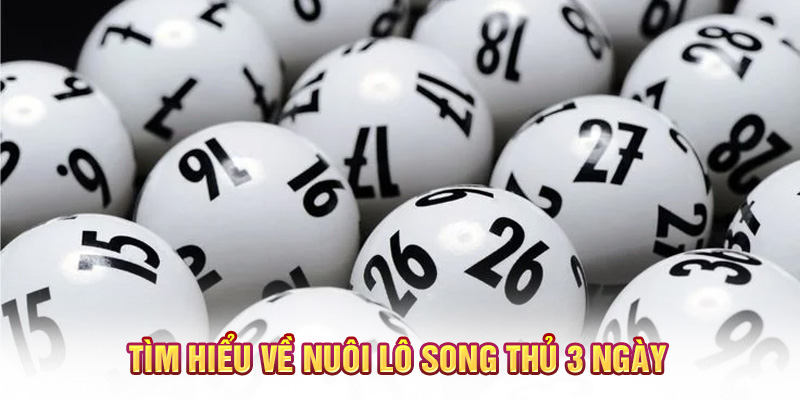 Tìm hiểu về nuôi lô song thủ 3 ngày