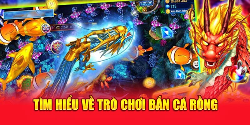 Tìm hiểu về trò chơi săn cá rồng