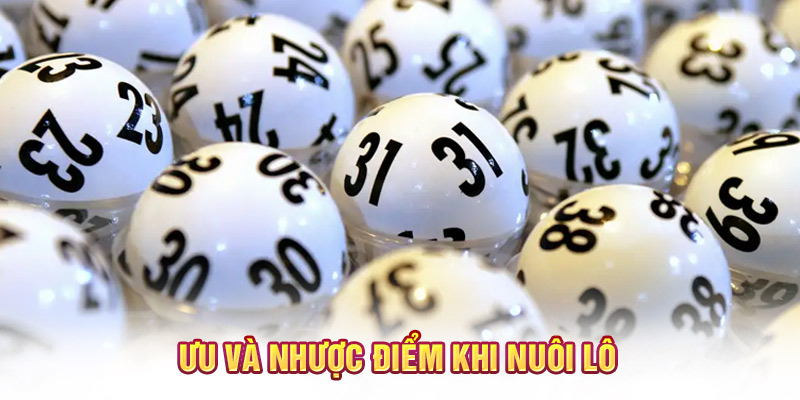 Ưu và nhược điểm khi nuôi lô